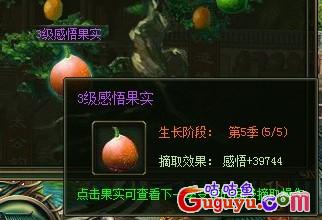 《大侠传》感悟获得方式